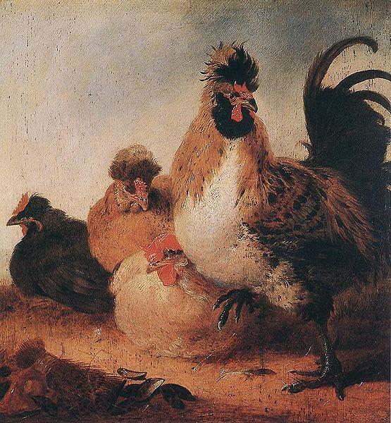 Aelbert Cuyp Rooster and Hens. Germany oil painting art
